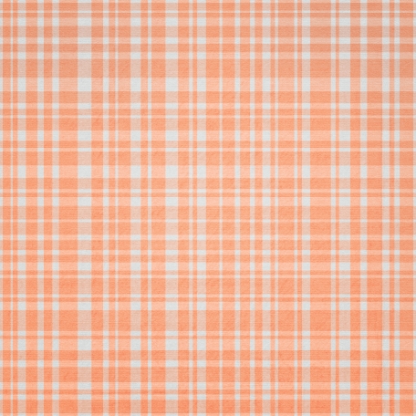 Good Day - Orange Plaid Paper graphic by Janet Kemp | DigitalScrapbook ...