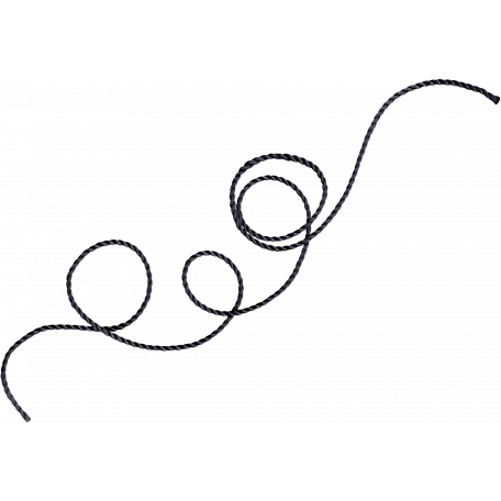 Wild & Free Dark Gray Curly Cord graphic by Annette Marie