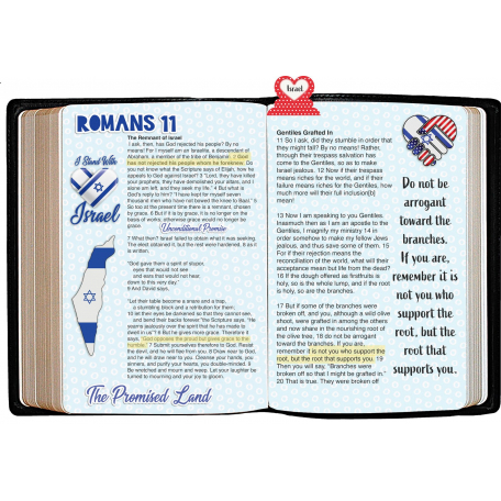 BIble Journaling Romans 11, Supporting Israel