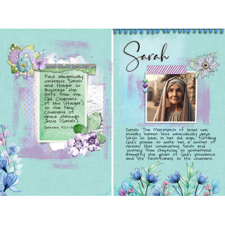 Bible Woman Journal: Sarah