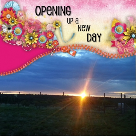 Opening Up a New Day