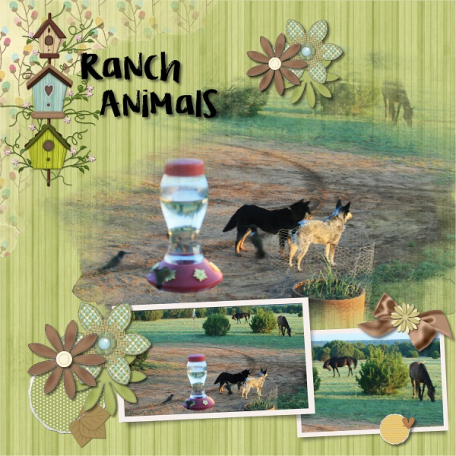 Ranch Animals
