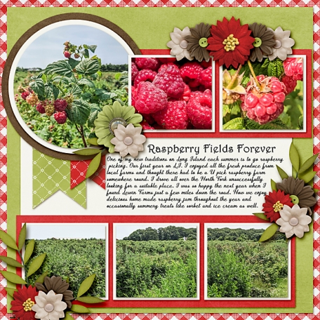 Raspberry Fieldss Forever