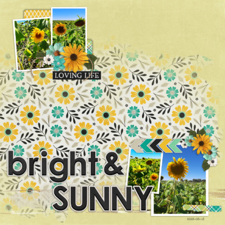 2023-03-13_Bright&Sunny