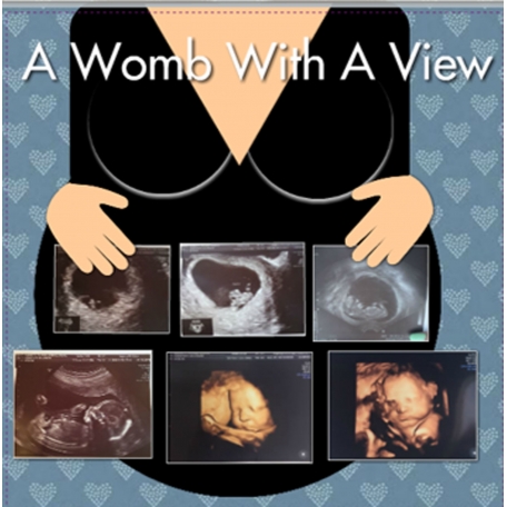 Womb with a view