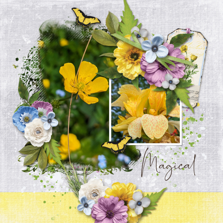 Spring flowers