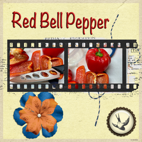 Red Bell Pepper 2