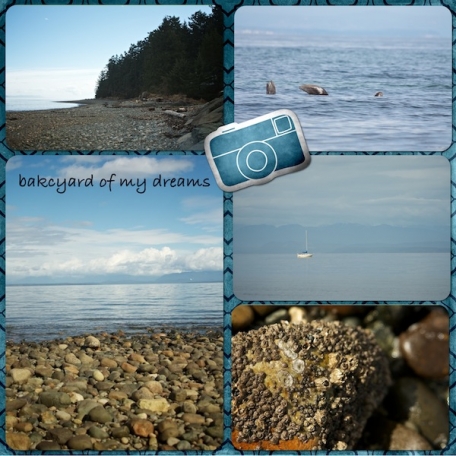 Vancouver Island 1