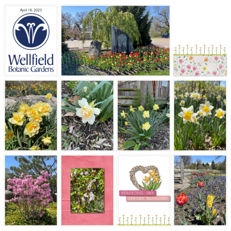 Wellfield Botanic Gardens 4-18-23 Page 1