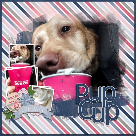 Pup Cup