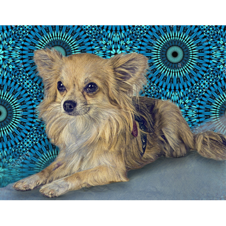 PET PORTRAITS FOR CHARITY - CHI