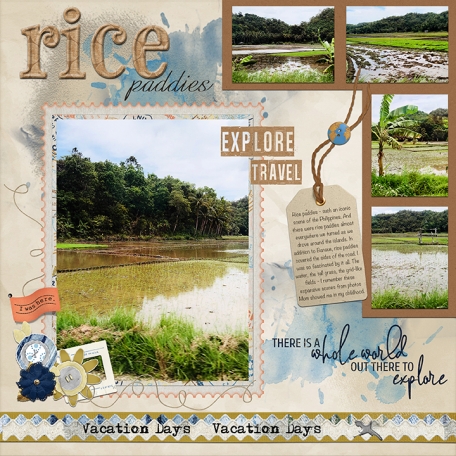 Rice Paddies