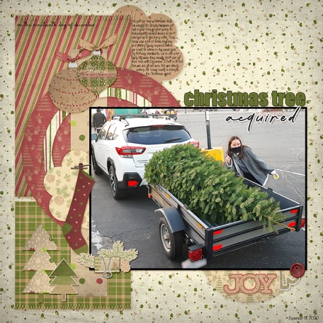 Christmas Tree Acquired (DDP19)