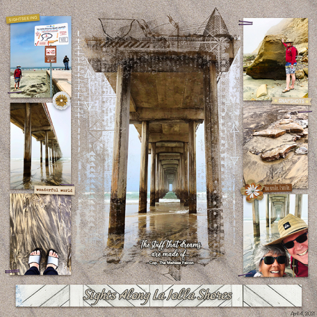 Sights Along La Jolla Shores