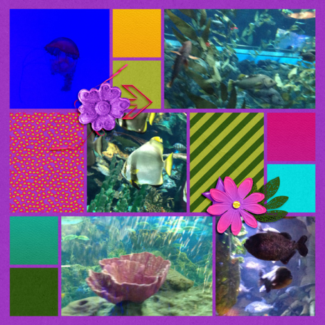 Aquarium