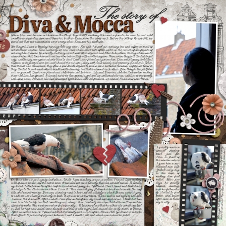 Diva & Mocca