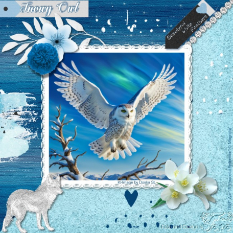 Snowy Owl