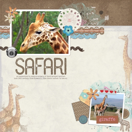 Kenya- Giraffe- Diana