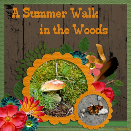 A Summer Walk in the Woods