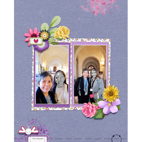 friends 345
