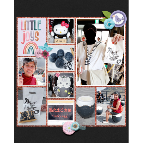 travel 653