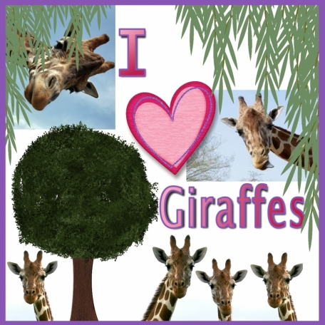I Heart Giraffes