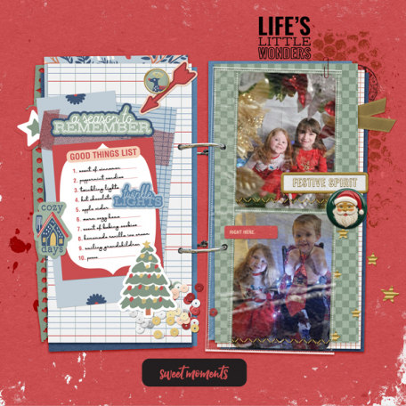 Sweet Christmas Moments