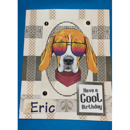 Cool dog birthday card
