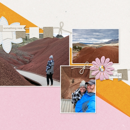 Feb 2015 Painted Hills 4