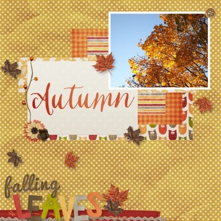 Fall Traditions I