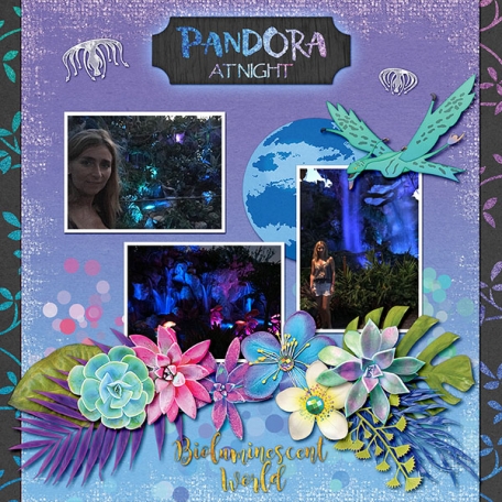 Pandora at Night