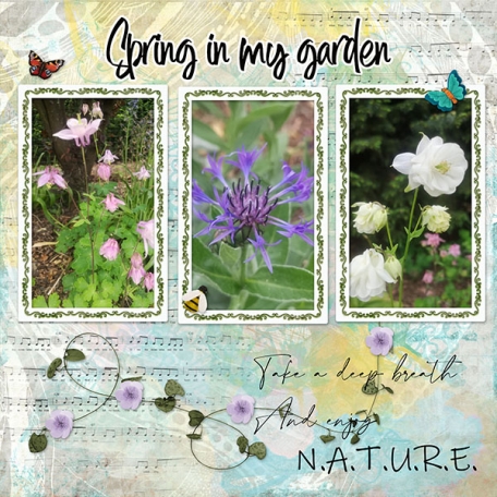 Spring in my Garden