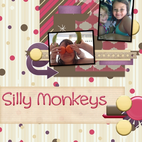 Silly Monkeys