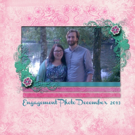 Engagement Photo Dec 2013