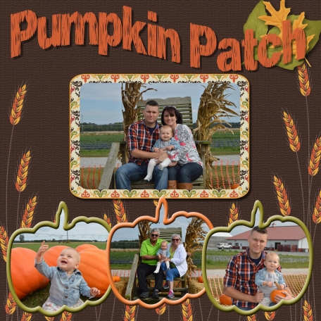 Pumpkin Patch