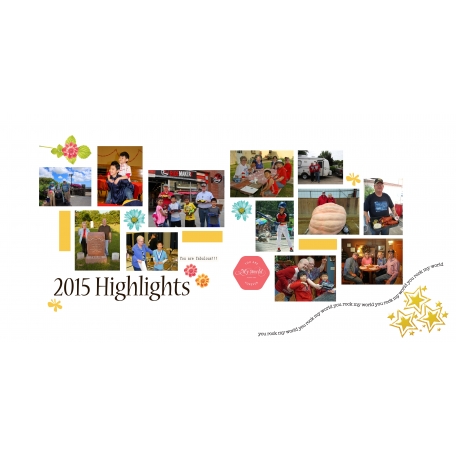 2015 Highlights