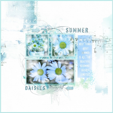 Summer Daisies-June