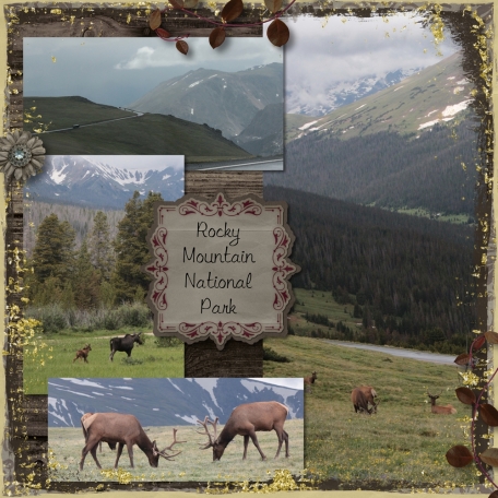 Rocky Mountain National Park 2