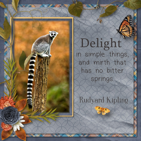 Delight - Kipling