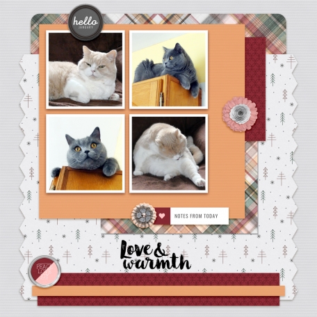Layout Template kit #52