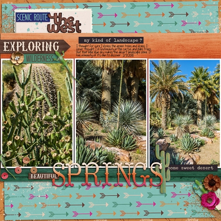 2018 Springs Cacti