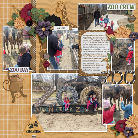 Creek Zoo 2022