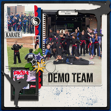 Demo Team