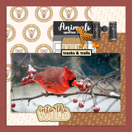Animal Spotted