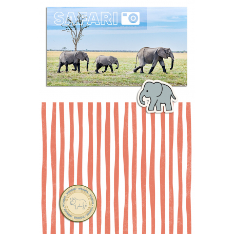 Safari