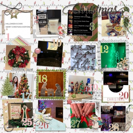 Days 1-30 of Christmas (aka November) ls