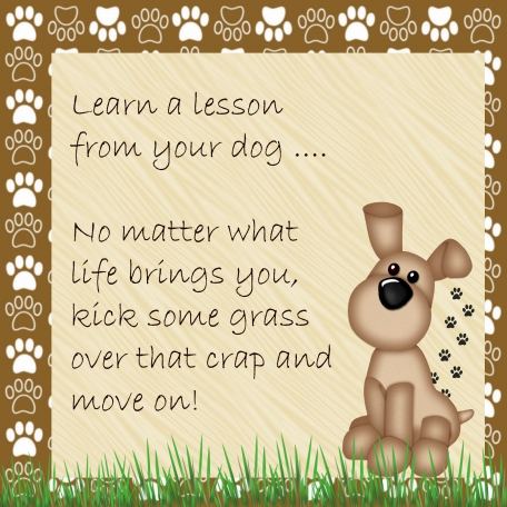 Life Lesson From a Dog