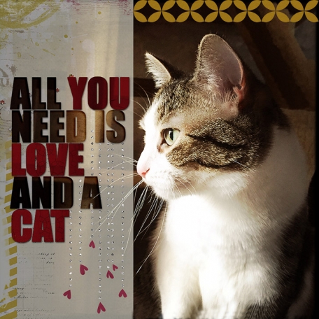 Love and a cat