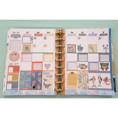 Fieldnotes #6 planner