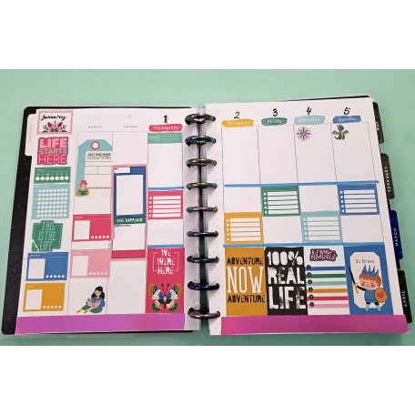 Fieldnotes #13 planner